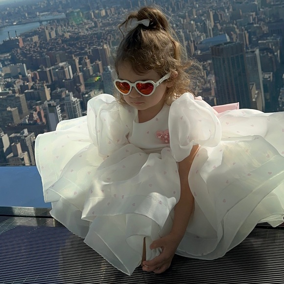 Toddlers Dress for Birthday Party or any other party - Picture 5 of 11